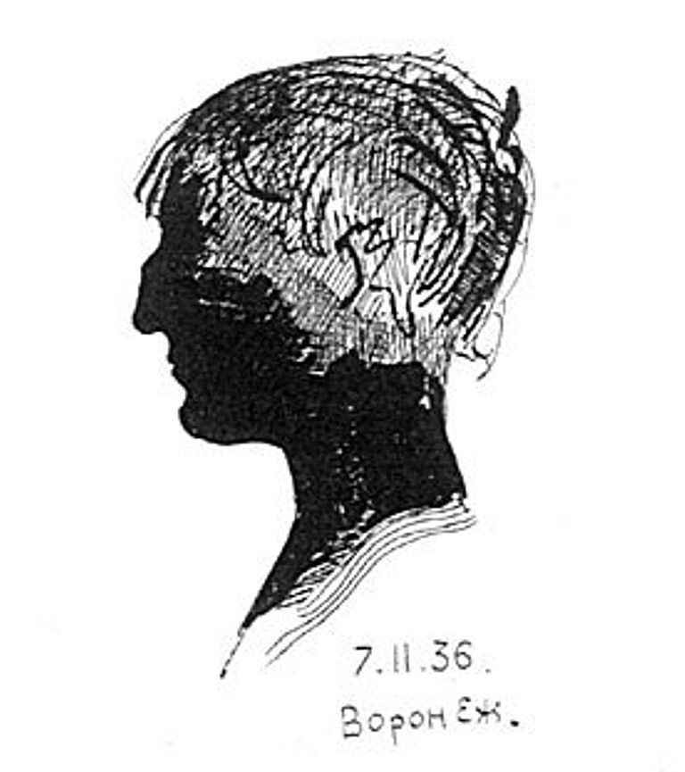 Глаза ахматовой. Ахматова портрет в профиль. Портрет Анны Ахматовой Графика профиль.