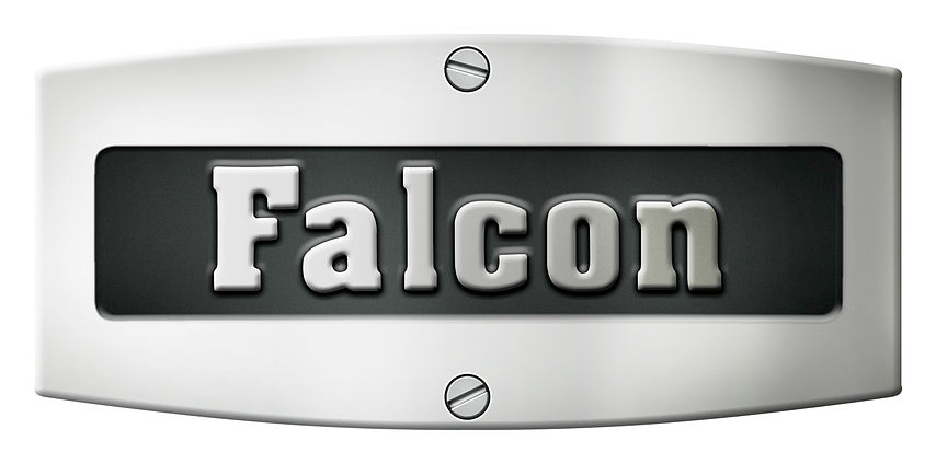 logo_falcon.jpg